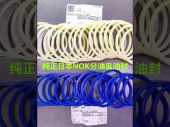 High Efficiency Center Swivel Rotary Seal Kit da China Original Nok