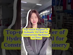 EX450-5 EX60-1 Selo de cilindro hidráulico Resistente ao calor