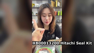 Consertar vazamento de óleo！Kit de reparo Hitachi XB00013200