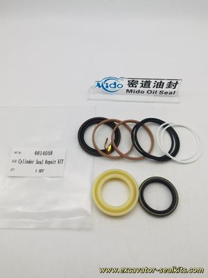KIT de reparo de vedação de cilindro hidráulico de nível profissional (4614058) para revisão eficiente